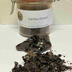 Cachou Extract